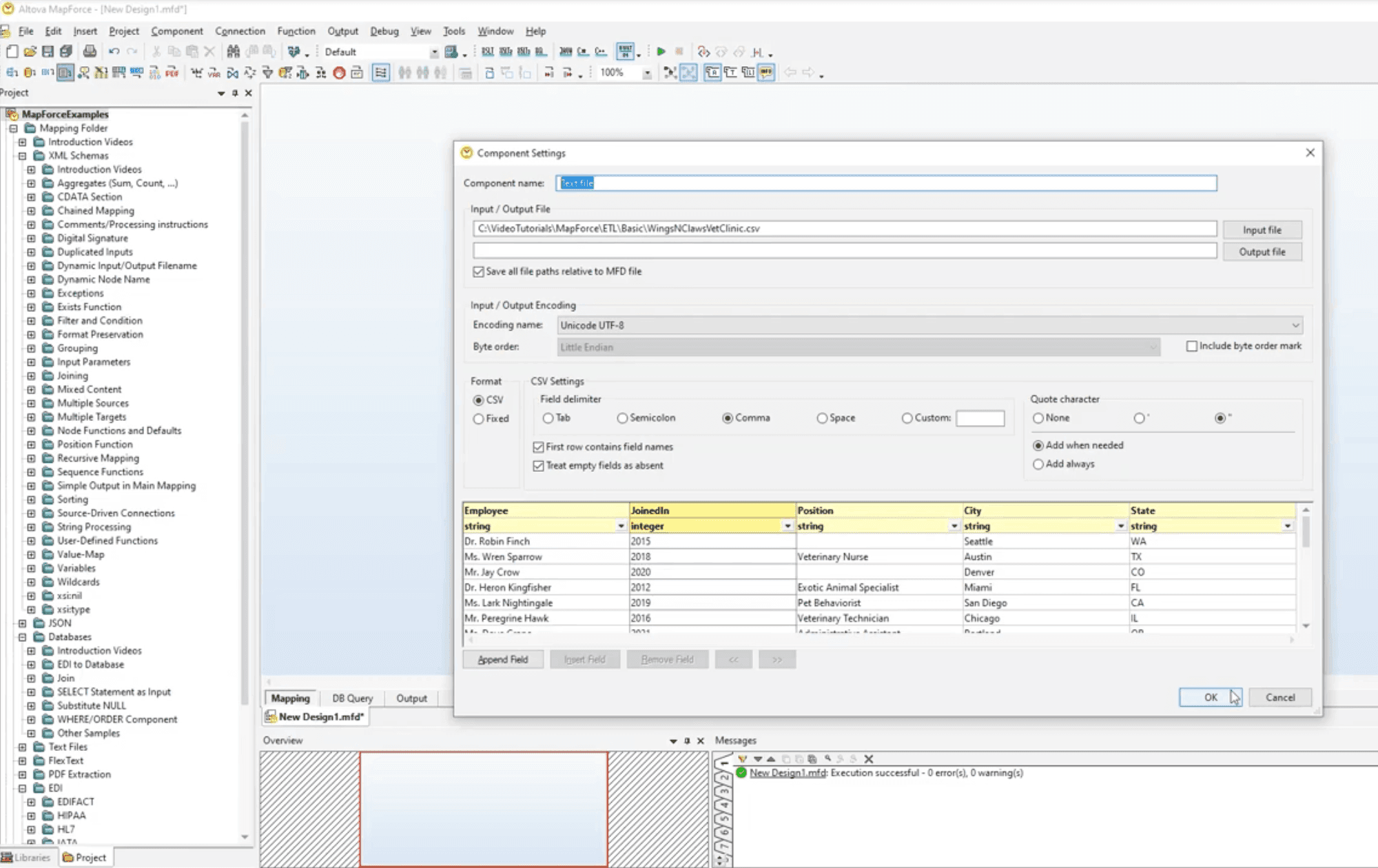 Altova MapForce graphical mapping canvas with lines drawn between source and target schema nodes